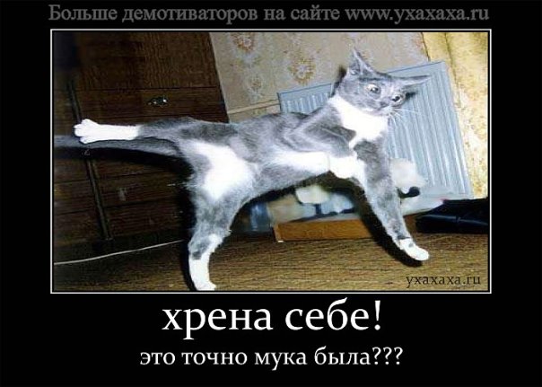 http://cs10079.vkontakte.ru/u67651588/107184661/x_c88b6fe4.jpg